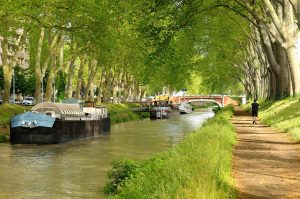 Photographie du Canal du midi Toulouse