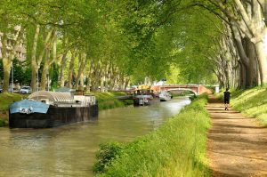 Photographie du Canal du midi Toulouse